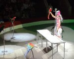 img_20170805_171258